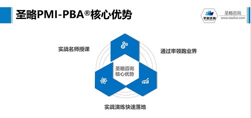 商业分析 圣略咨询视角下项目管理与企业管理咨询的核心引擎