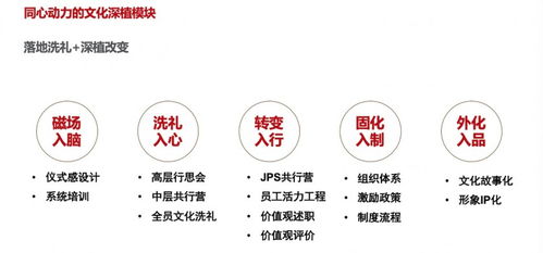 同心动力 专注企业文化管理，助力企业持续发展